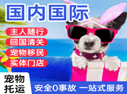 阿勒泰雪都航空运输国际宠物托运 【国