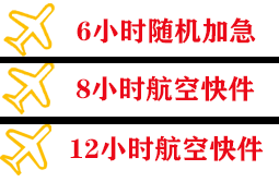 阿勒泰雪都航空运输快递公司,专业空运当天件