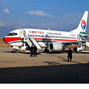 阿勒泰雪都航空运输航空快运业稳步发展的原因是什么？